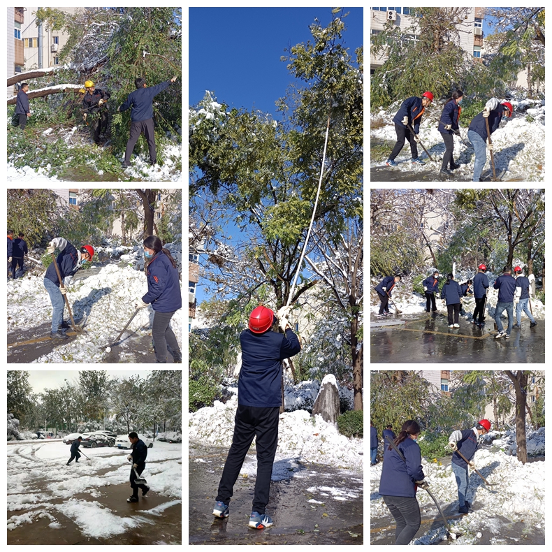 光影魔術手拼圖.jpg 光影魔術手拼圖.jpg